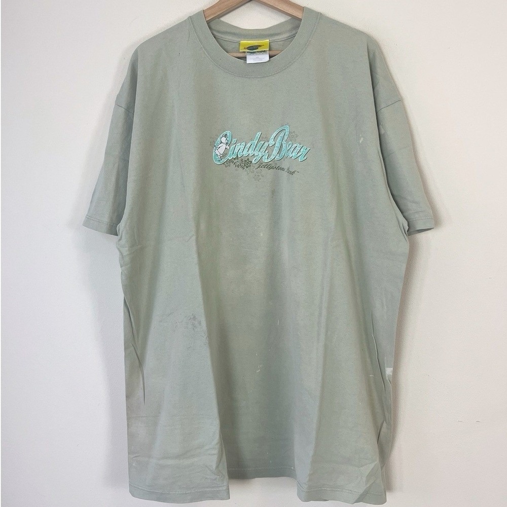 Vintage 90's Cindy Bear Jellystone Park Nature Art Distressed Tee Shirt - XXL